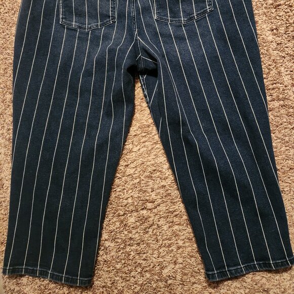 Lane Bryant Pin-Striped Crop Denim Jeans Plus Size 26W - Picture 4 of 7